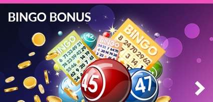 Bingo Meesters | Bingo Bonus