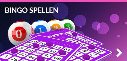 Bingo Meesters | Bingo Spellen